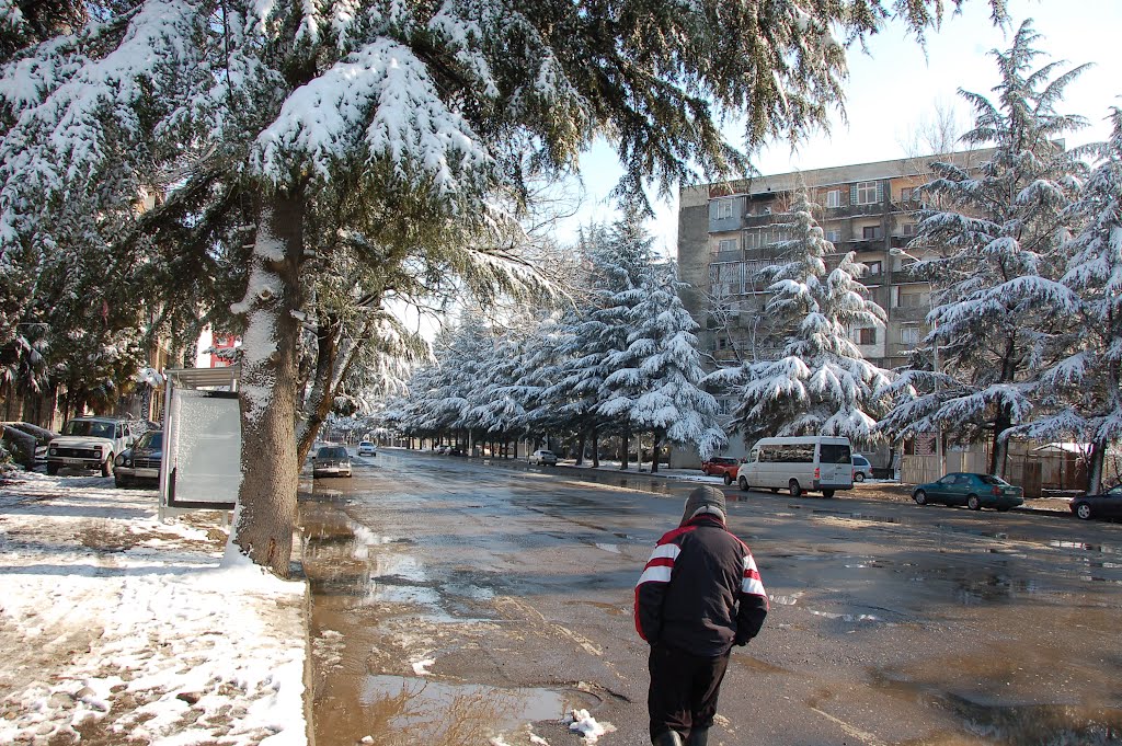 Abashidze street, 2012, Кутаиси