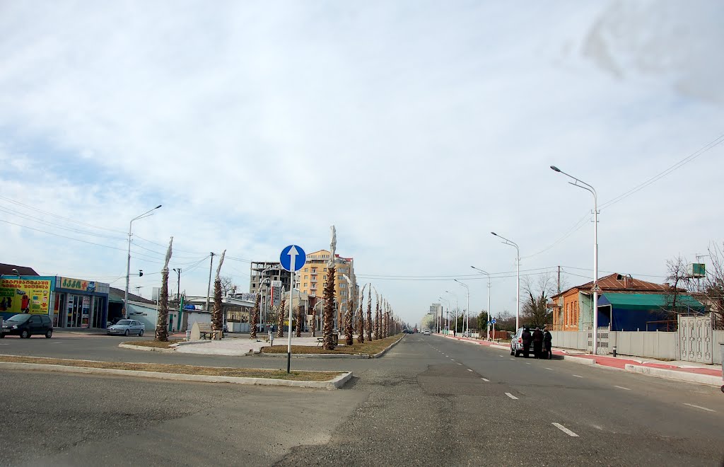 Agmashenebeli avenue, 2012, Кутаиси