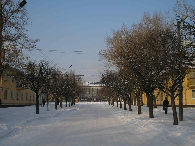 Улица Пушкина, Орджоникидзе