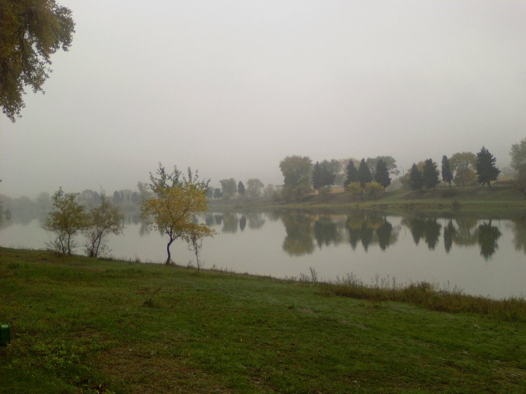Rustavi Lake in The Park, Рустави
