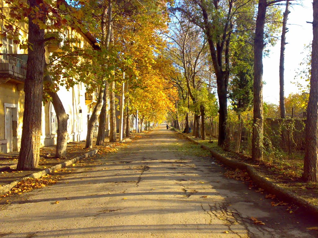 გიორგაძის ქუჩა, რუსთავი. (ინტერნატები), giorgadze st. Rustavi, Georgia, Рустави