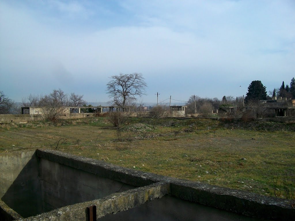 Abandoned ponds of WWTP, Рустави