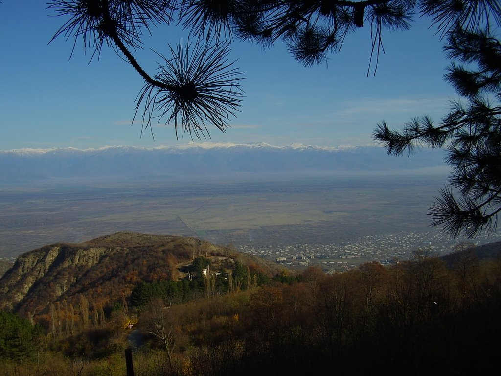 კახეთი/Kakheti region, Georgia, Сигнахи