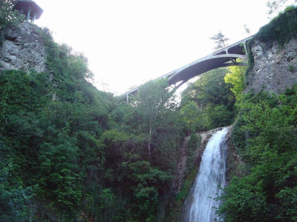 tbilisi botanical garden bridge, Тбилиси