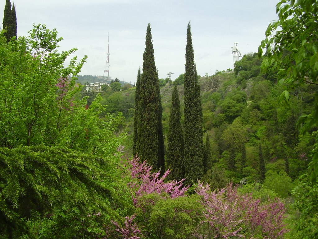 Tbilisi Botanical Garden, Тбилиси