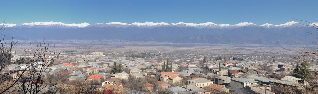 Telavi, Caucasus, Телави