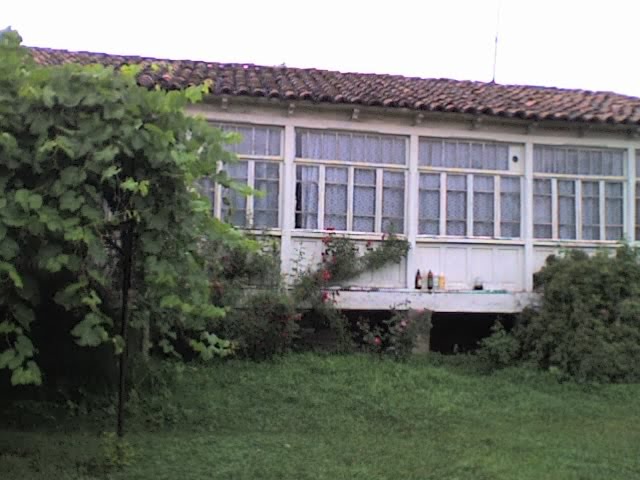 Nugzar Mekvabishvilis house, Тианети