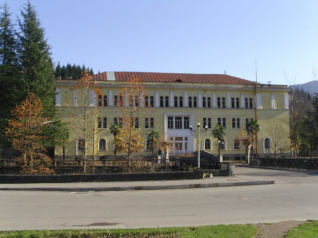 Tkibuli - Saqnakhshiri Building, Ткибули