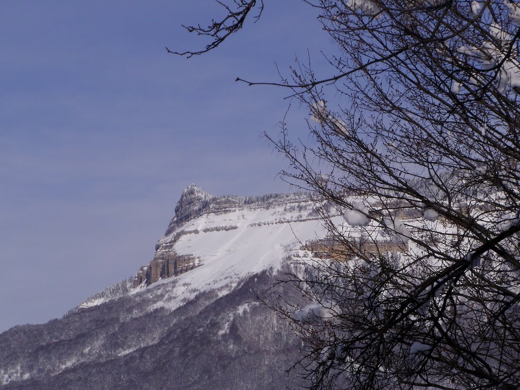 Tkibuli/Winter - View to Mount Tskhrajvari, Ткибули