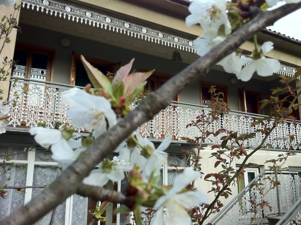 My home in spring, Ткибули