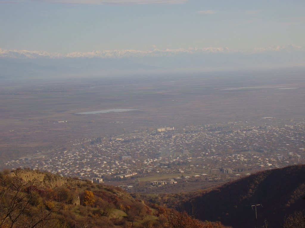 წნორი/Tsnori. kakheti region, Georgia, Цнори