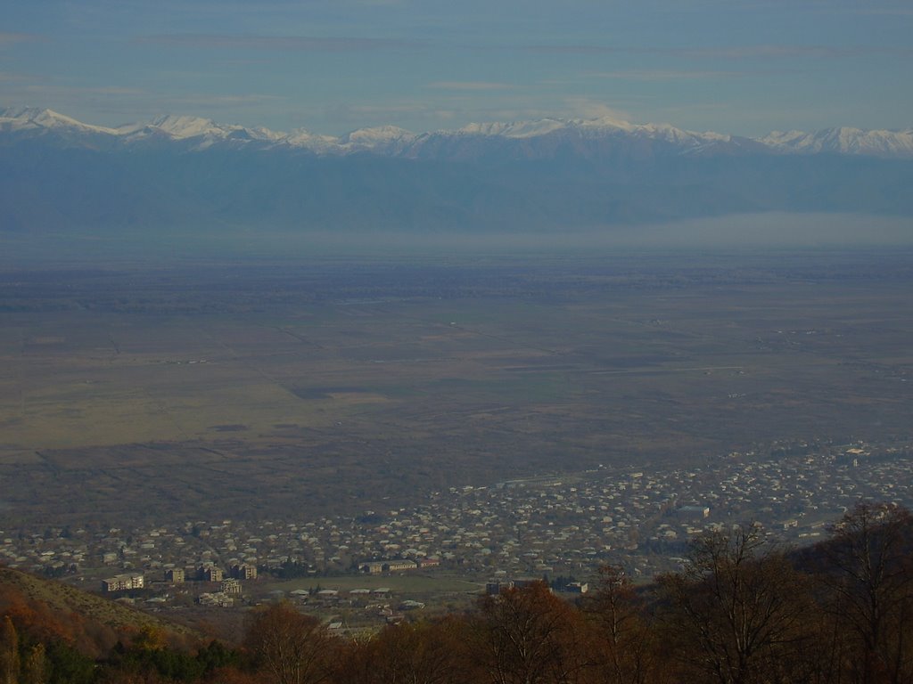 წნორი/Tsnori. kakheti region, Georgia, Цнори