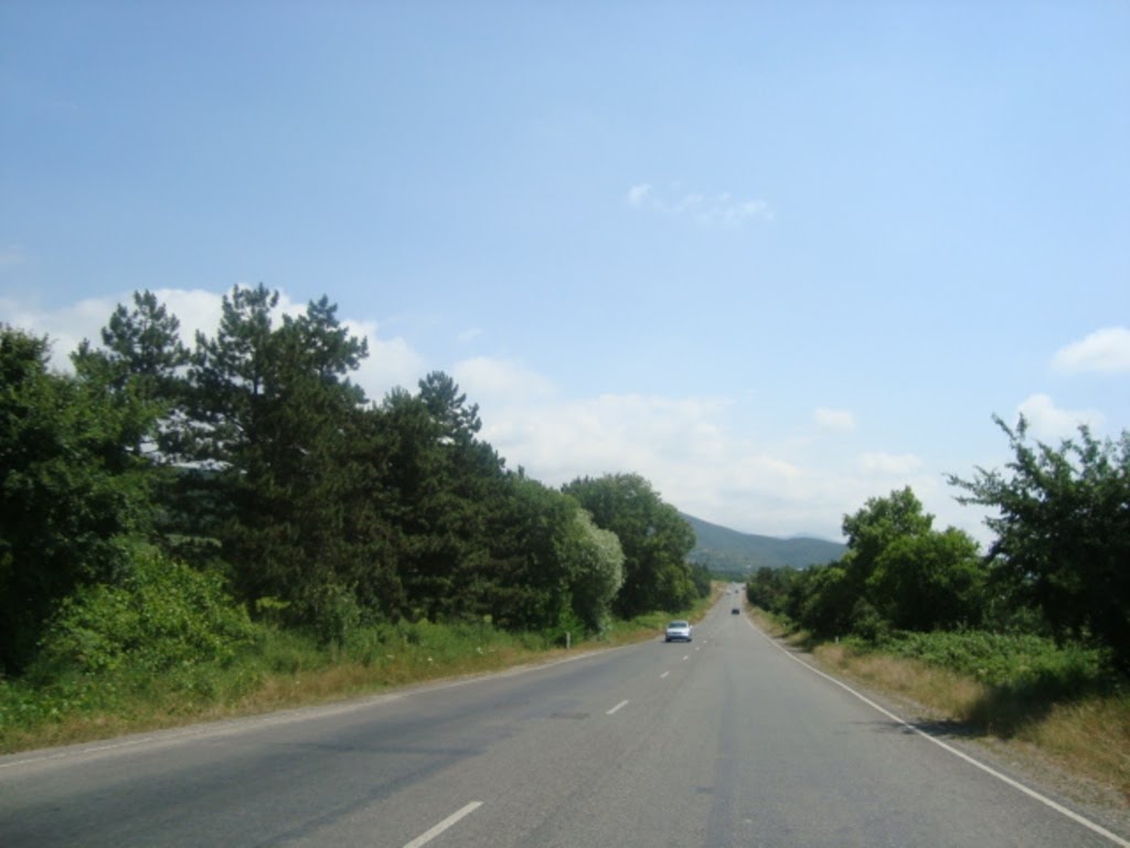 26.06.2011 Georgia, region Kakheti, Цнори