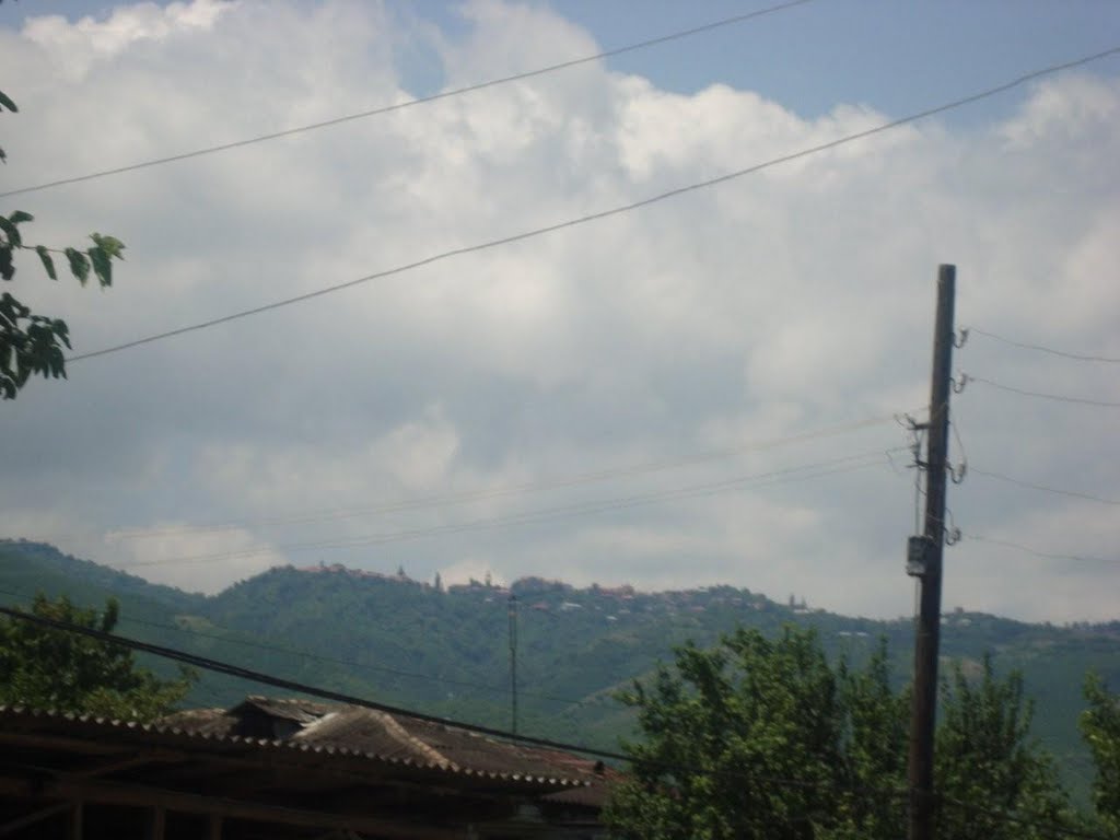 26.06.2011 Georgia, region Kakheti, Цнори