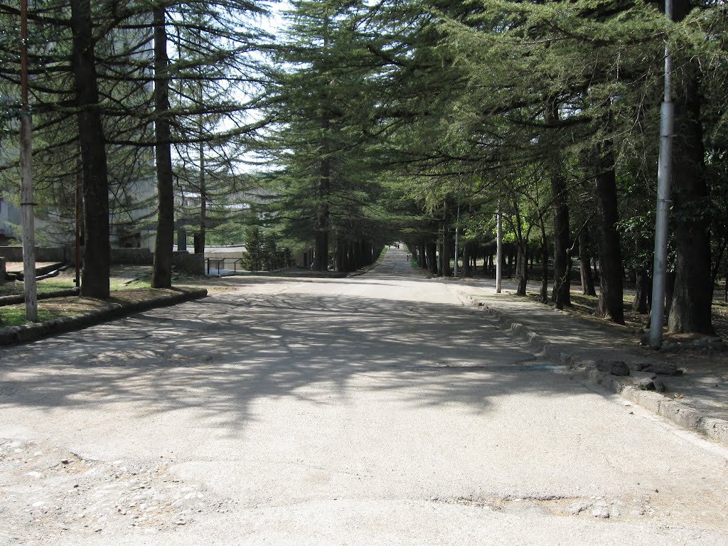 The road from school, Цхалтубо