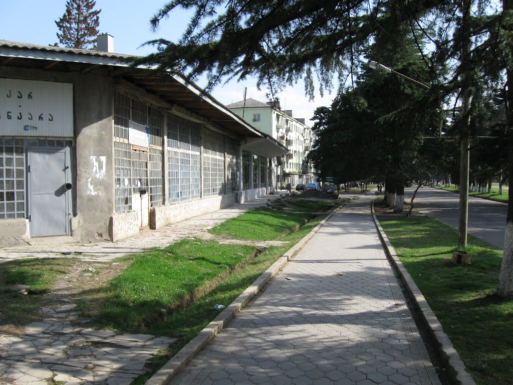The pavement, Цхалтубо