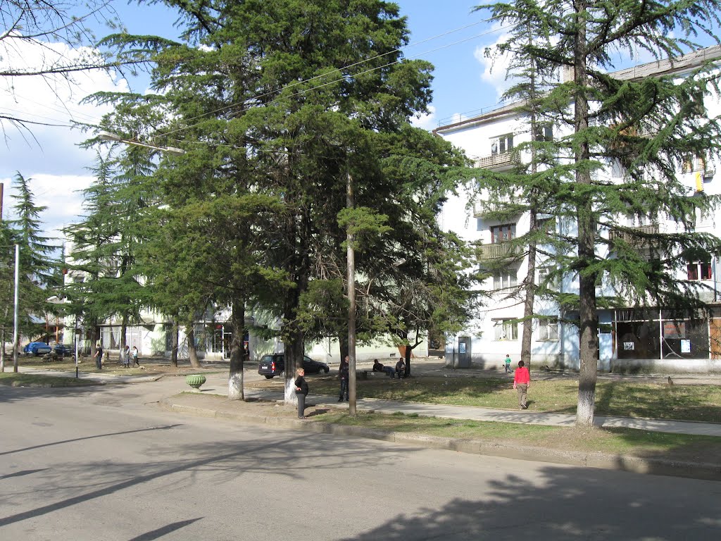 The street, Цхалтубо