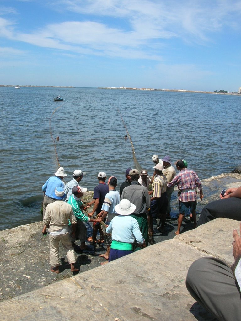 Fishermen pulling in the net - June 2005, Александрия