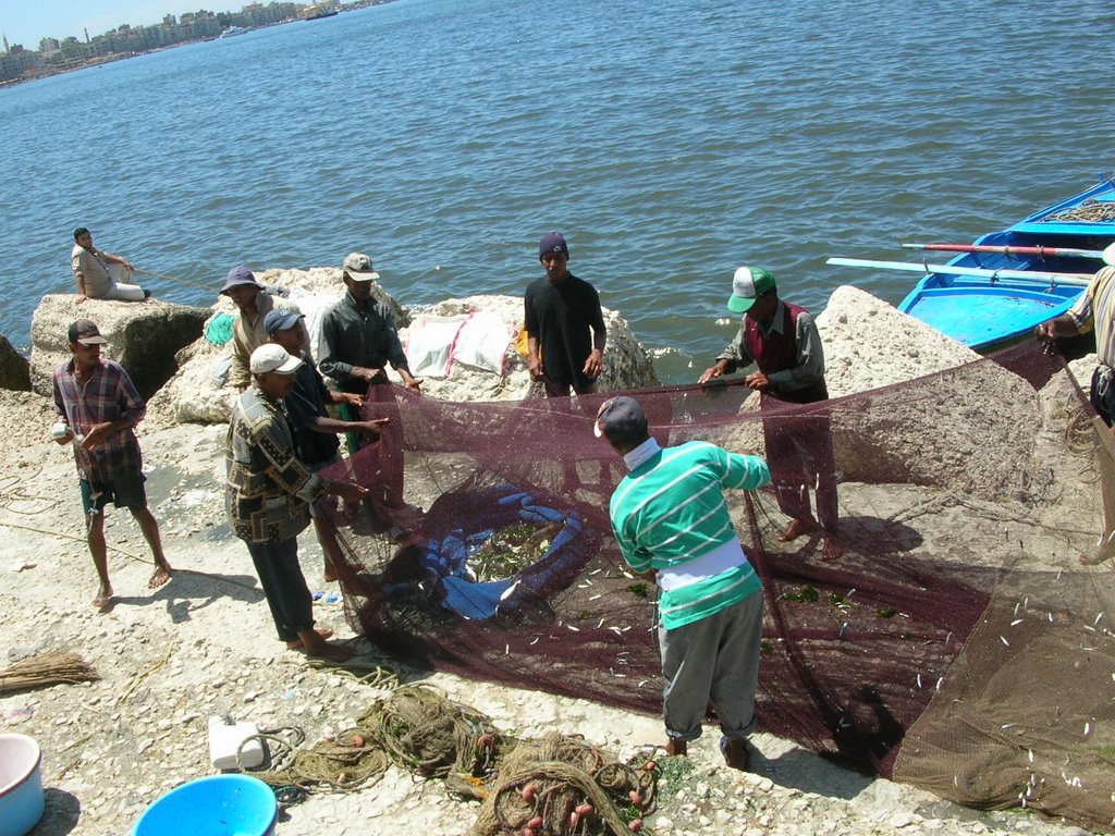Fishermen - June 2005, Александрия