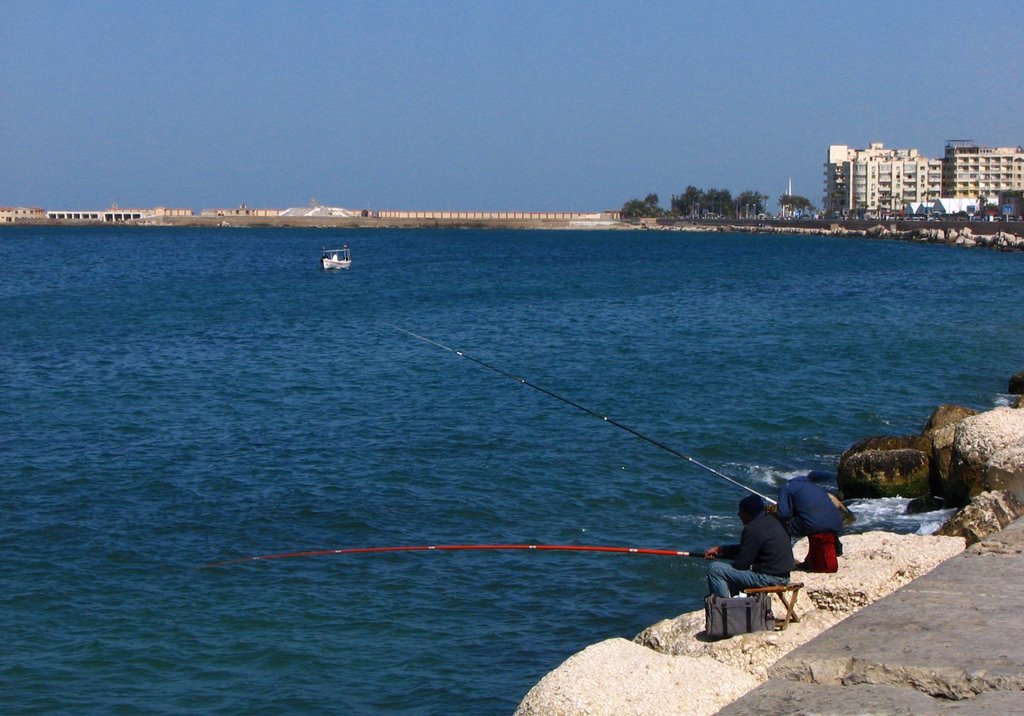 Eastern Harbour viewed from 26 July Street, Александрия