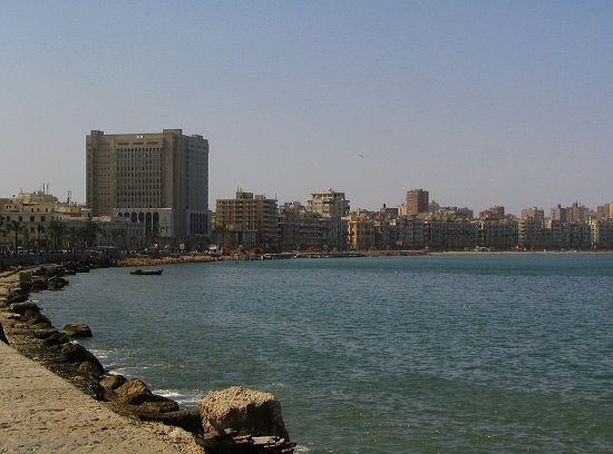 Aleksandria #32, Александрия