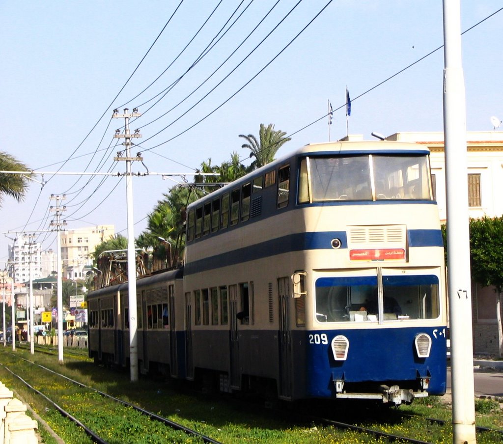Alexandria tram, Александрия