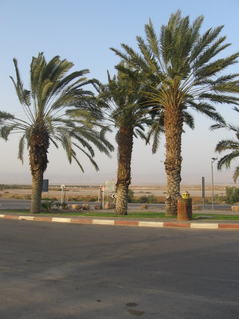 south israel, Арад