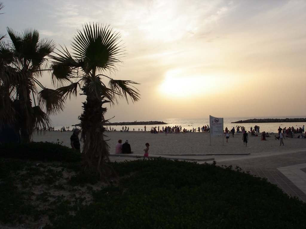 Beach At Sunset, Ашкелон