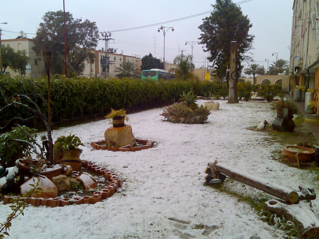 Snow in Dimona, Димона