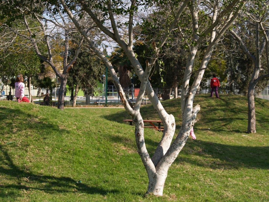 Kiryat Malakhi, Park, Кирьят-Малахи