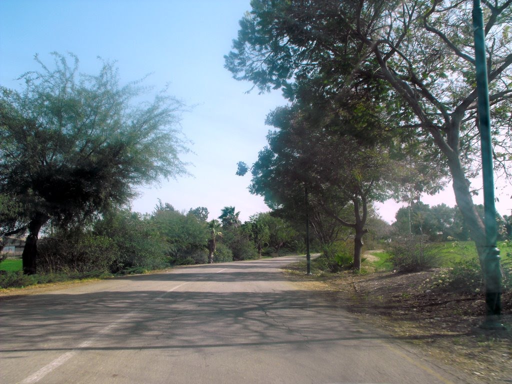 Timorim - Entrance Road, Кирьят-Малахи