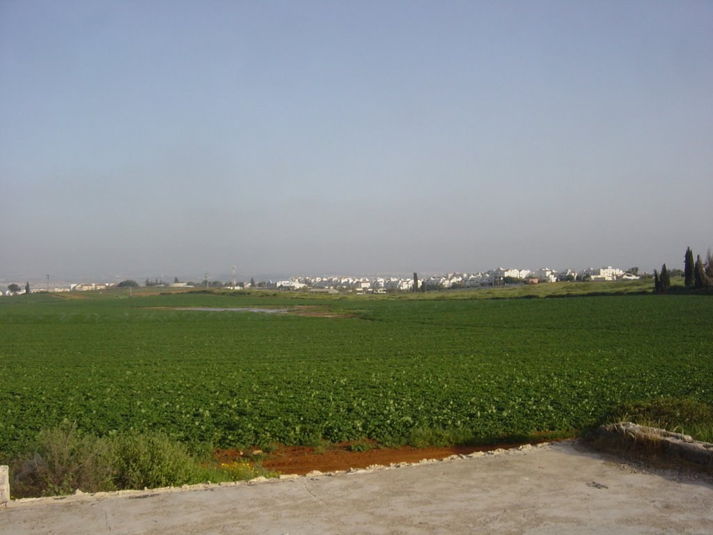The northern plains around Kfar Saba, Кфар Саба