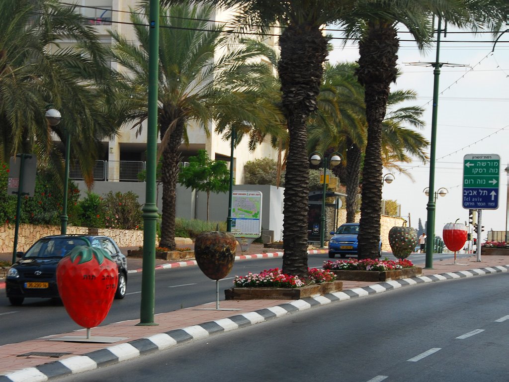 Strawberry lane, Кфар Саба