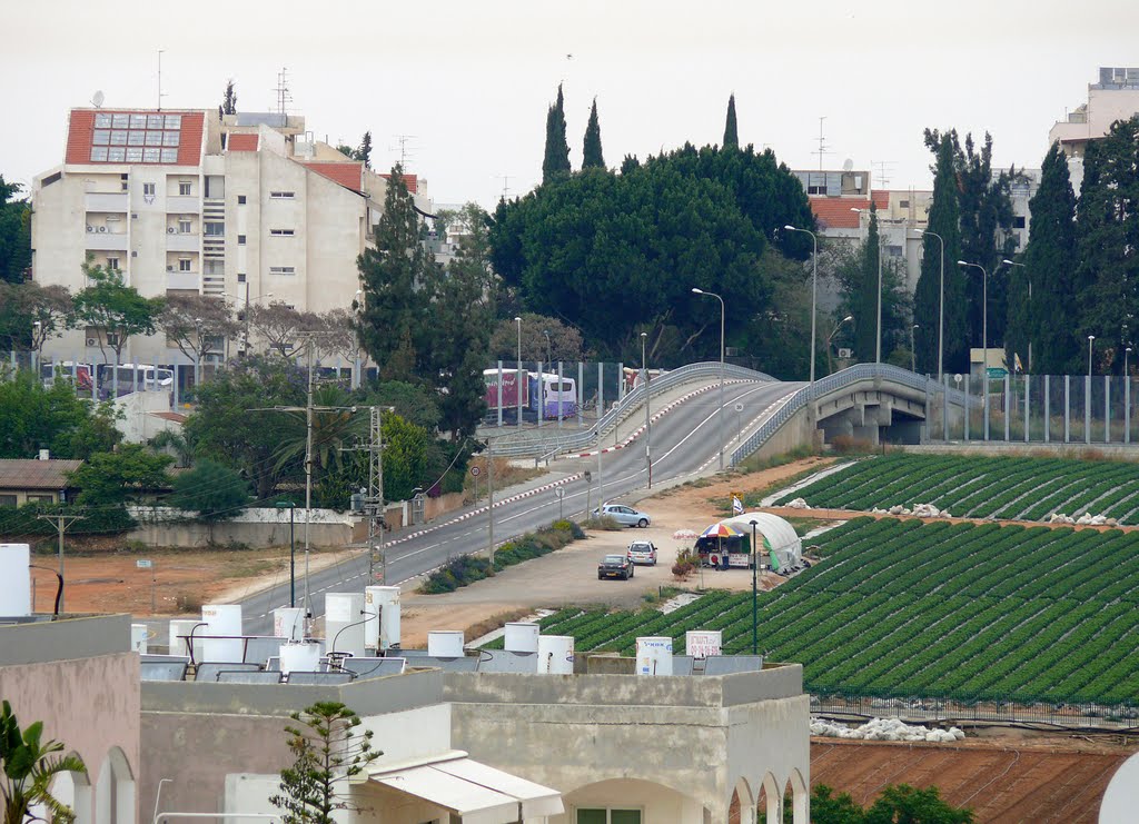 Asirei Tsiyon, a bridge between Hod HaSharon and Kfar Saba, Кфар Саба