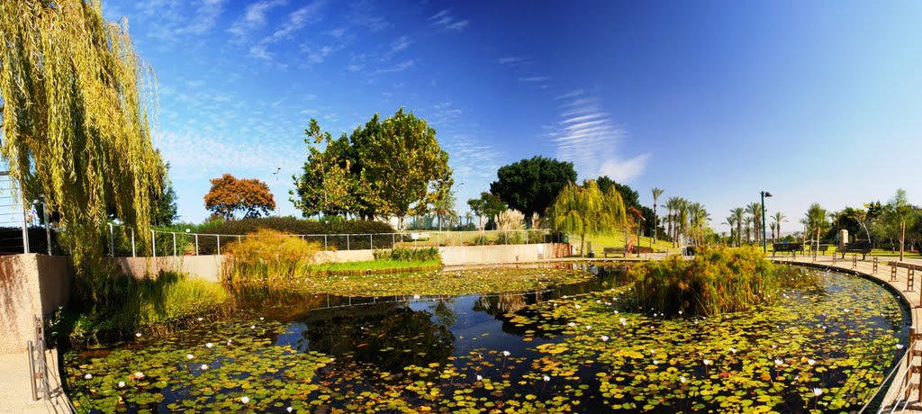Ecological pond, Кфар Саба