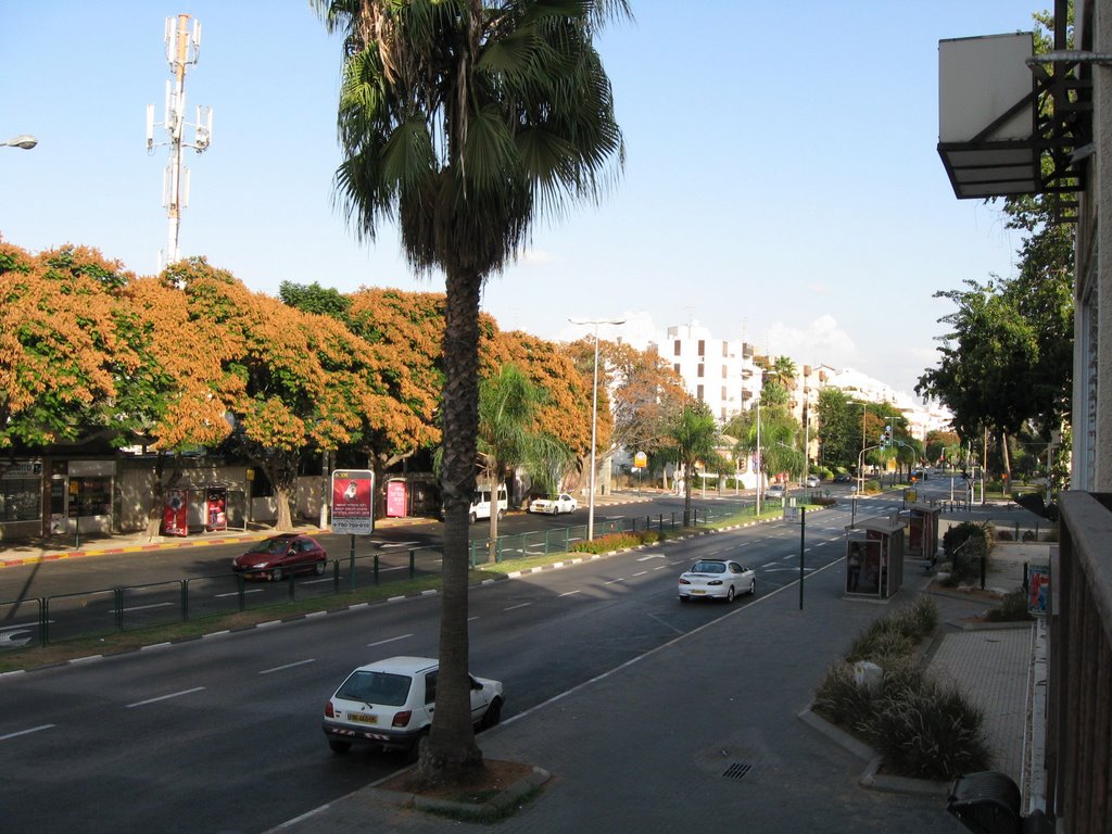 Weizmann street (east), Кфар Саба