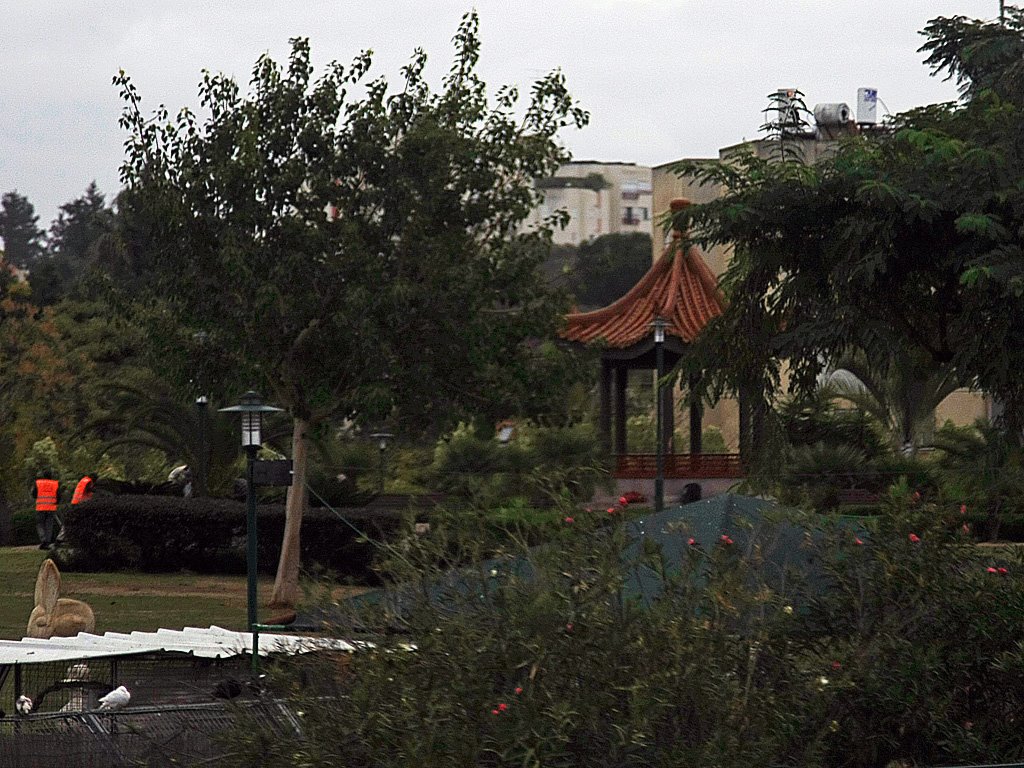 Ness Tziona Park, Нэс-Циона