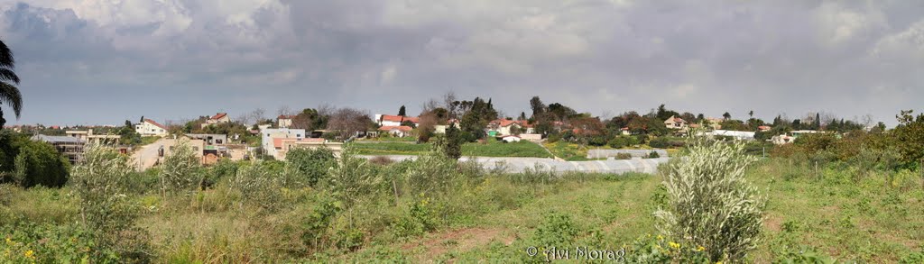 Netaim - View of the south side, Нэс-Циона