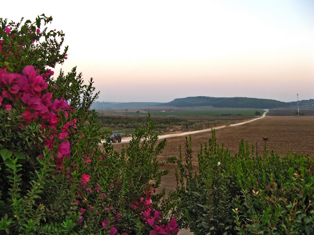 View from a moshav near Tel Aviv _ Israel, Нэс-Циона