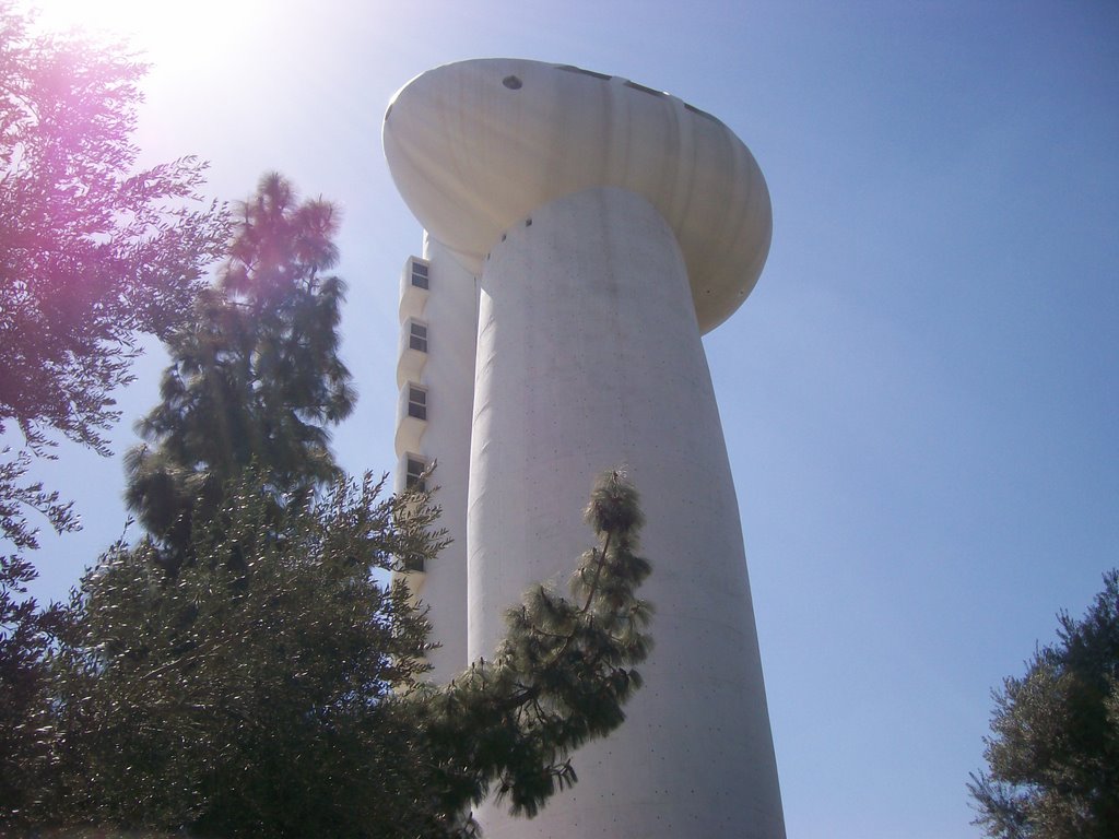 Weizmann Institute of Science 9, Нэс-Циона