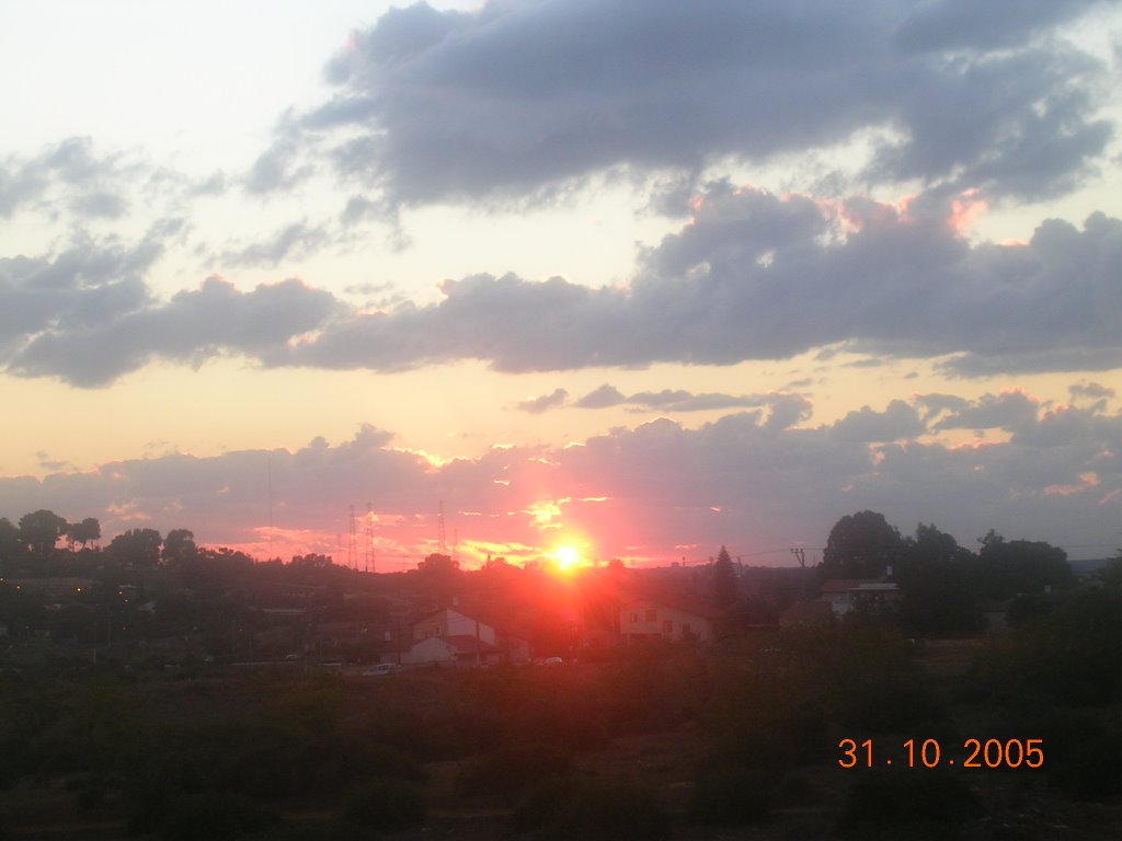 Dawn on Tirat Shalom, Нэс-Циона