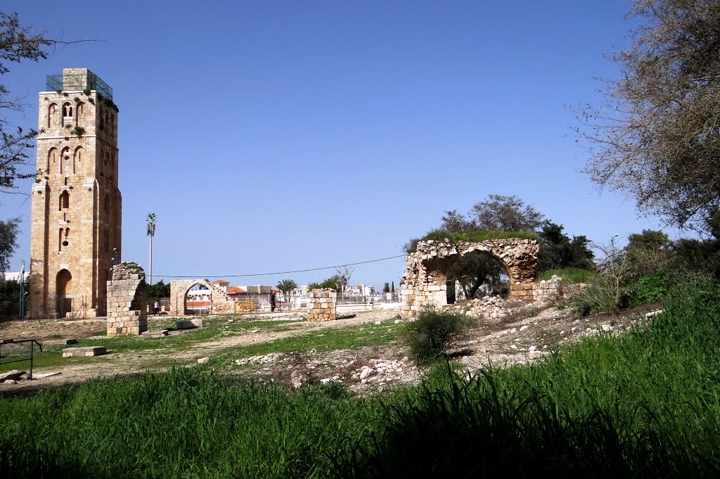 FIELDS OF OLD CITY RAMLA, Рамла
