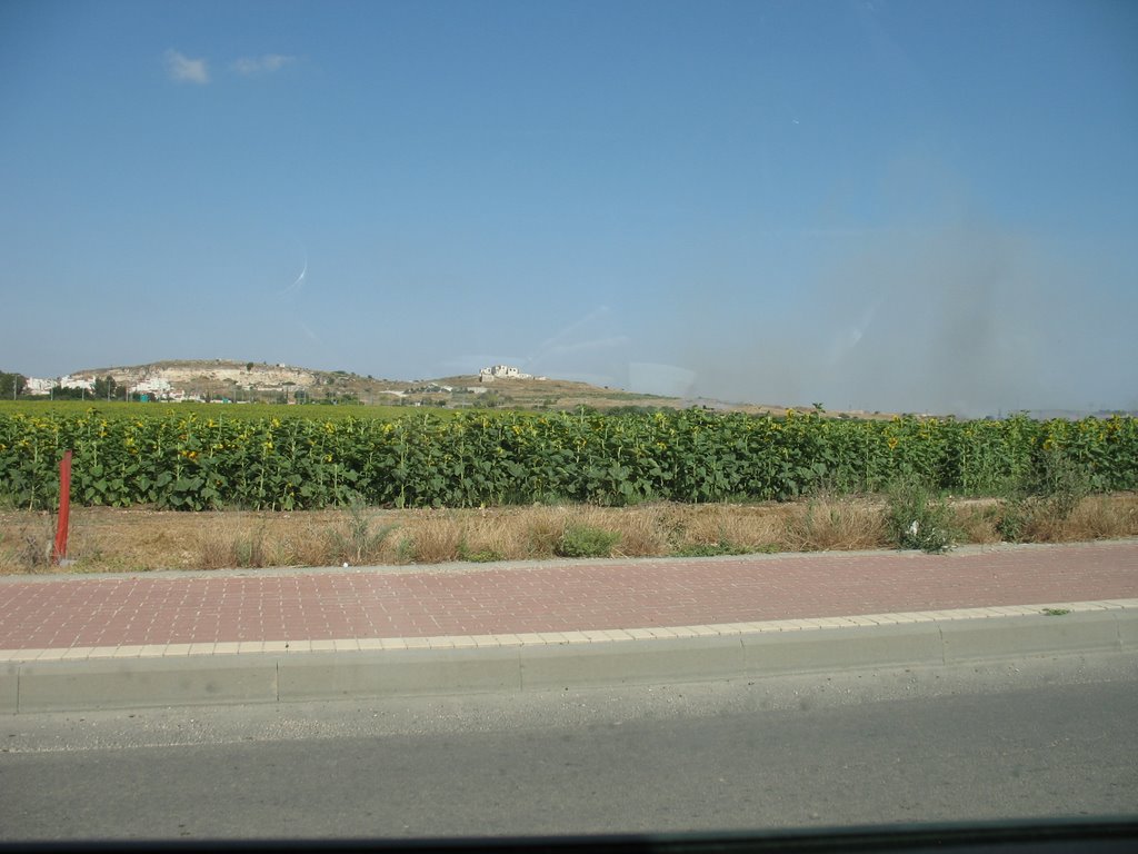 Migdal Tzedek view from Kibbutz Einat, Рош-ха-Аин