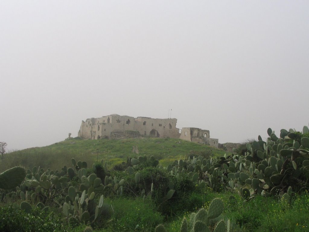 Migdal Tzedek ruins, Рош-ха-Аин