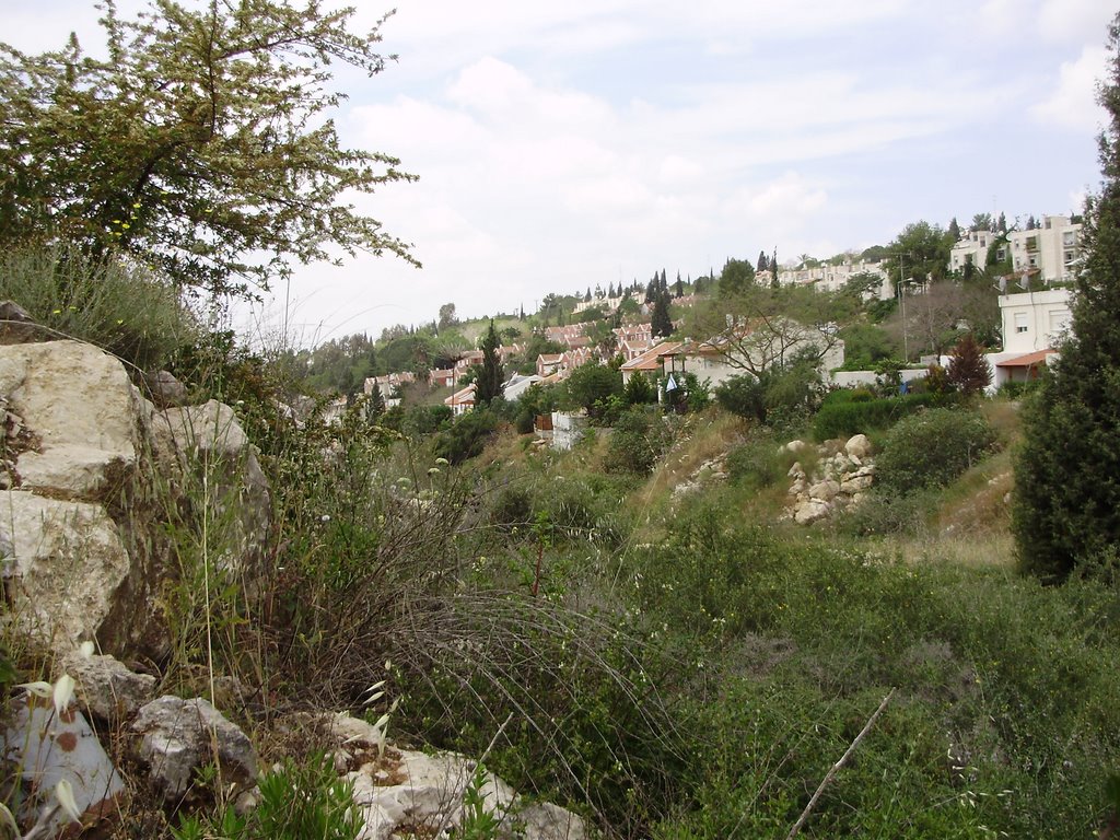 ARIEL - the capital of Samaria, Ариэль