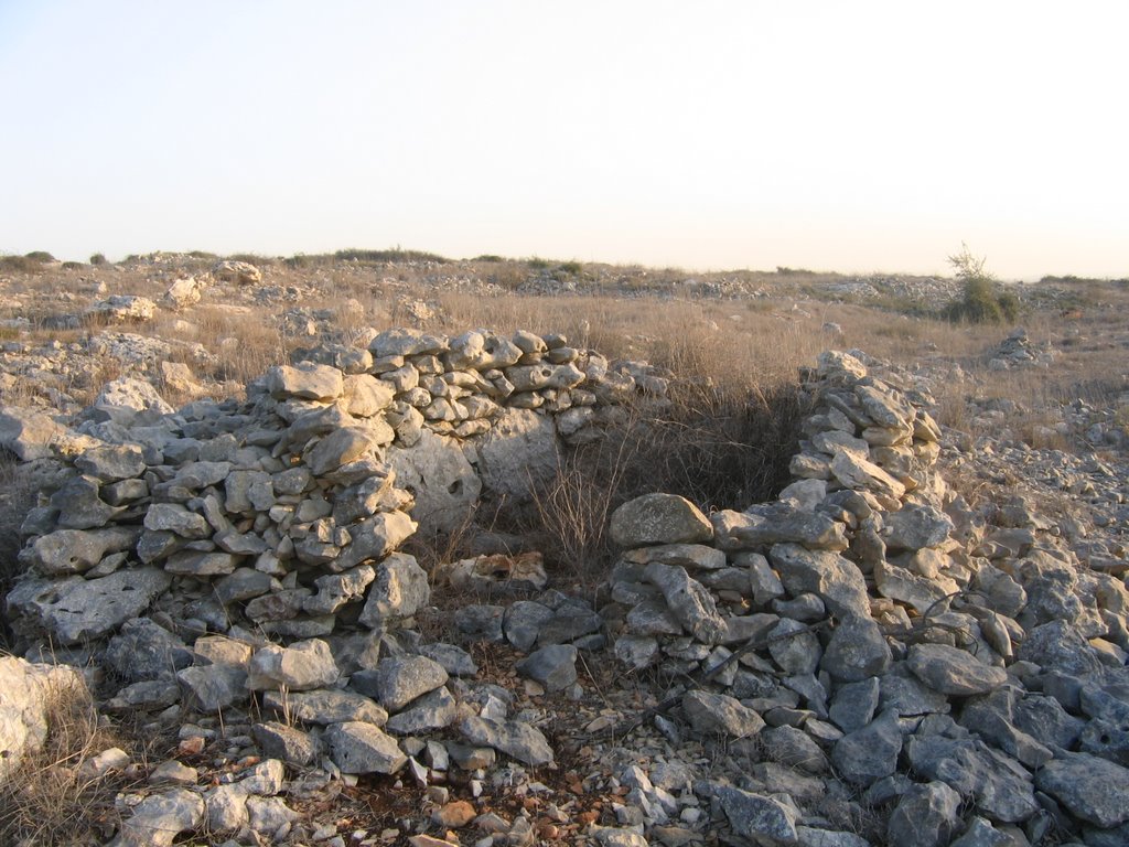 Ruins of "shomra", Ариэль