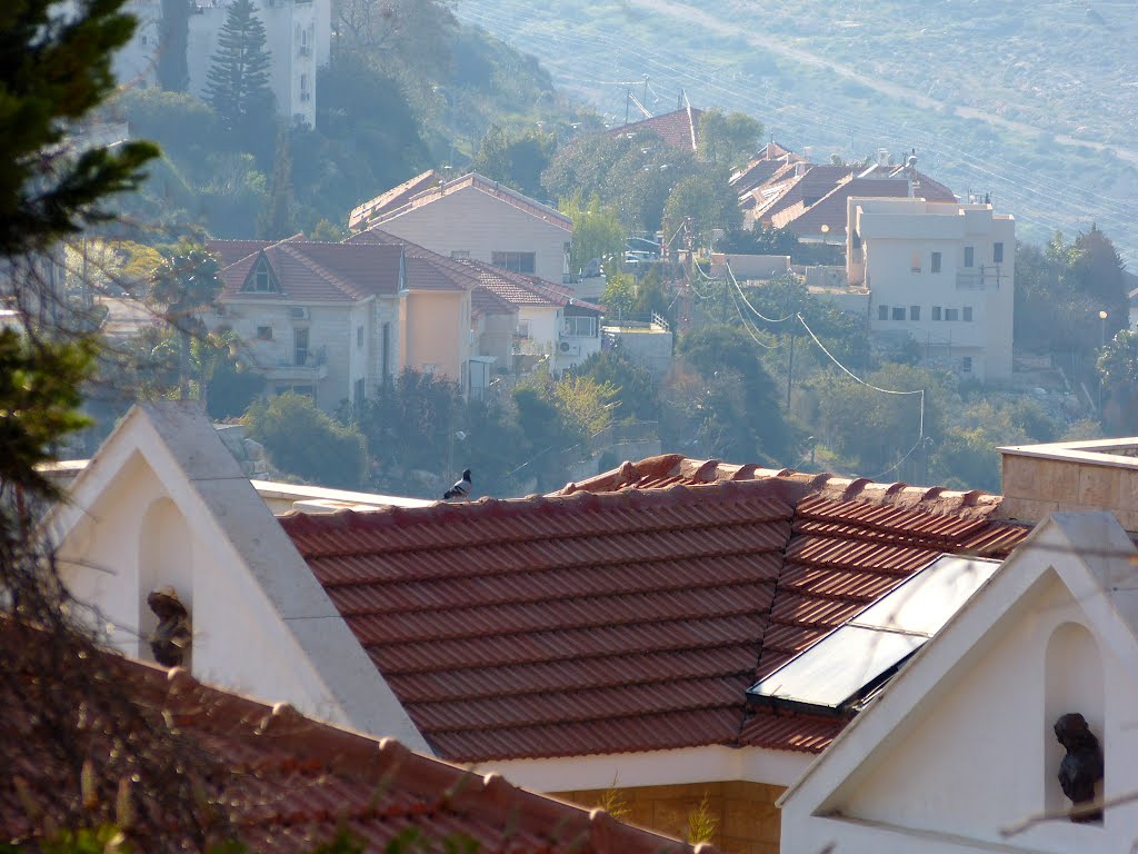 A view of HaShaked from Ramat HaGolan 15, Ariel, Ариэль