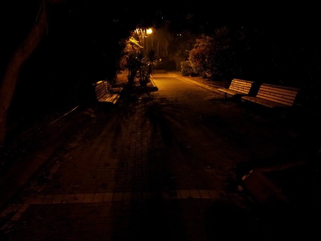 Park at night, Од-а Шарон