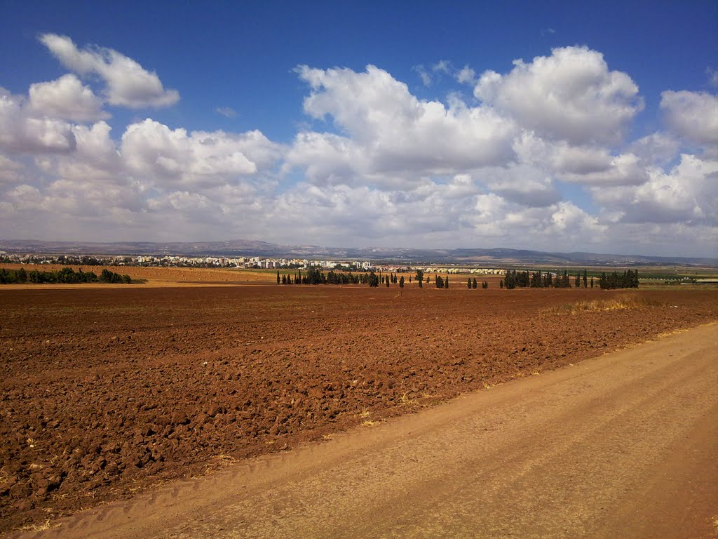 עפולה באופק משדות בלפוריה, Афула