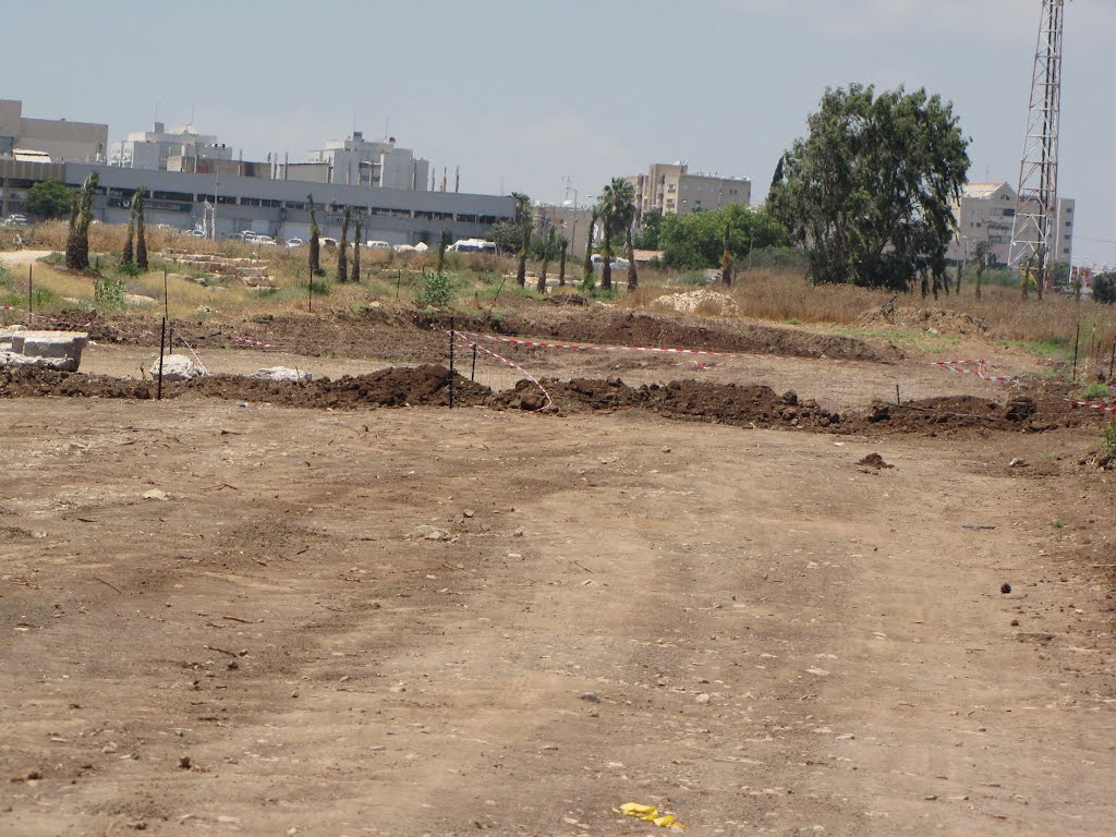 Works along the new Valley Railroad, a section Afula Beit Shean     , Israel, Афула